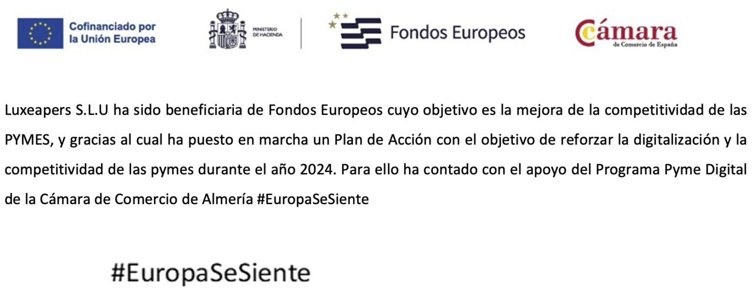 Ayudas Pyme Digital Texto